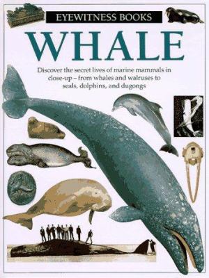 Whale