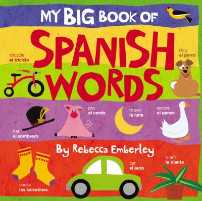 My big book of Spanish words