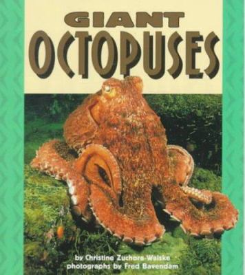 Giant octopuses