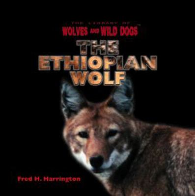 The Ethiopian wolf.