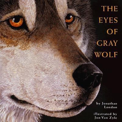 The eyes of Gray Wolf